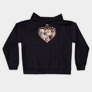 Valentine's Day British Longhair cat Heart Kids Hoodie